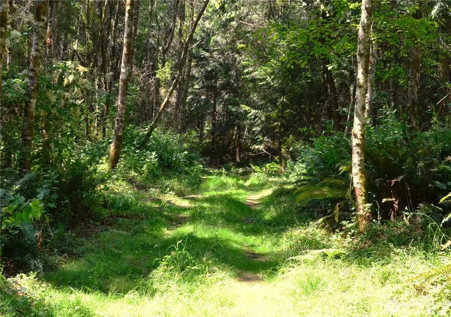 Photo 1 of Land for sale at 1 Nka Parkridge Dr, Port Townsend, WA 98368 | MLS# NWM2559446 | Listing updated on 2026-09-23