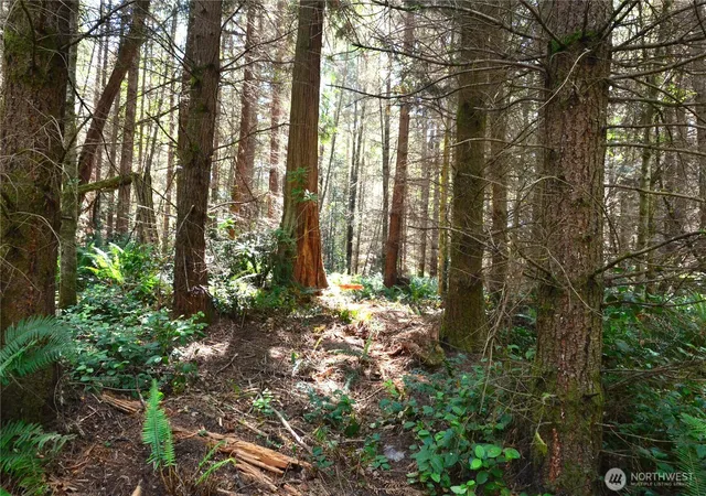 Photo 1 of Land for sale at 2 Nka Parkridge Dr, Port Townsend, WA 98368 | MLS# NWM2559452 | Listing updated on 2026-09-23