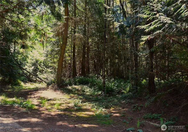 Photo 4 of Land for sale at 2 Nka Parkridge Dr, Port Townsend, WA 98368 | MLS# NWM2559452 | Listing updated on 2026-09-23