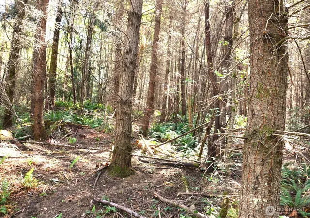 Photo 2 of Land for sale at 3 Nka Romans Rd Dr, Port Townsend, WA 98368 | MLS# NWM2559464 | Listing updated on 2026-09-23
