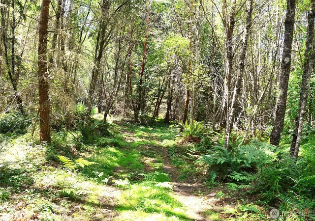 Photo 3 of Land for sale at 3 Nka Romans Rd Dr, Port Townsend, WA 98368 | MLS# NWM2559464 | Listing updated on 2026-09-23