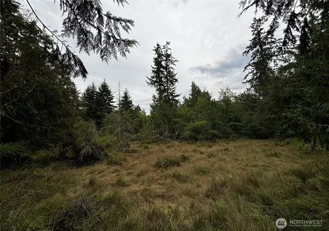 Photo 1 of Sale Pending at 9999 S Bagley St, Port Angeles, WA 98362 | MLS# NWM2559578 | Listing updated on 2026-09-25