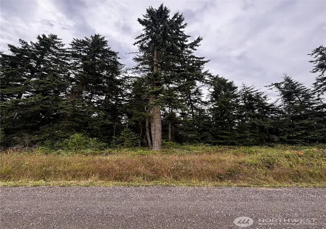 Photo 2 of Sale Pending at 9999 S Bagley St, Port Angeles, WA 98362 | MLS# NWM2559578 | Listing updated on 2026-09-25