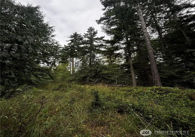 Photo 3 of Sale Pending at 9999 S Bagley St, Port Angeles, WA 98362 | MLS# NWM2559578 | Listing updated on 2026-09-25