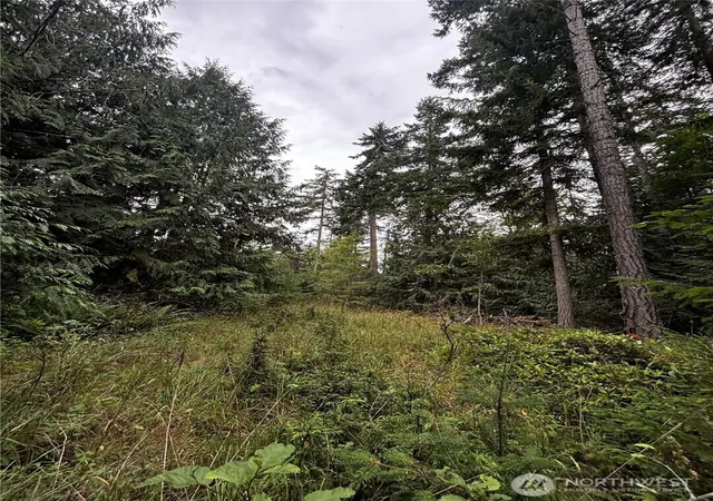 Photo 4 of Sale Pending at 9999 S Bagley St, Port Angeles, WA 98362 | MLS# NWM2559578 | Listing updated on 2026-09-25