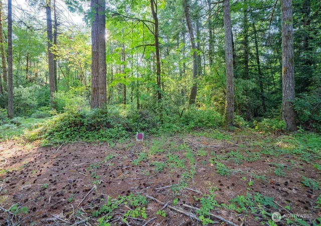 Photo 3 of Sale Pending at 1952 E Agate Rd, Shelton, WA 98584 | MLS# NWM2559599 | Listing updated on 2026-09-21
