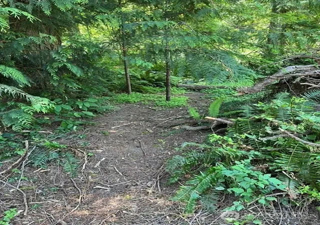 Photo 2 of Land for sale at 74 Lake Louise Dr, Bellingham, WA 98229 | MLS# NWM2559687 | Listing updated on 2026-09-23