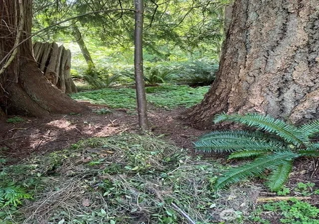 Photo 3 of Land for sale at 74 Lake Louise Dr, Bellingham, WA 98229 | MLS# NWM2559687 | Listing updated on 2026-09-23