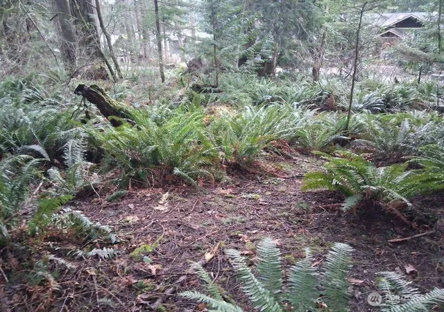 Photo 4 of Land for sale at 74 Lake Louise Dr, Bellingham, WA 98229 | MLS# NWM2559687 | Listing updated on 2026-09-23