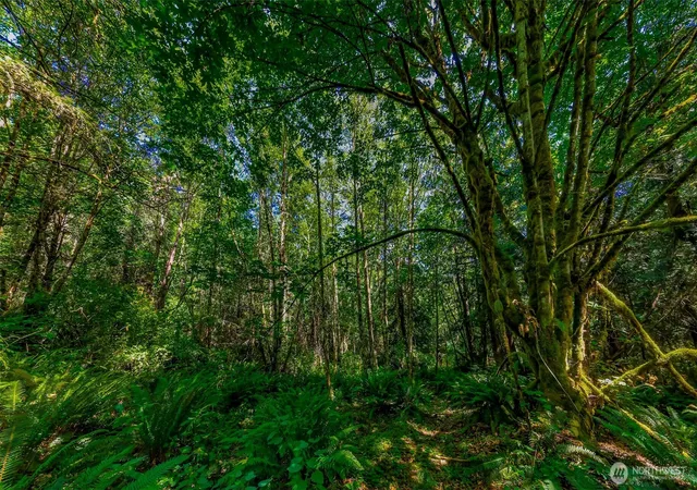 Photo 3 of Land for sale at 8679 Ne Fox Den Ln, Bainbridge Island, WA 98110 | MLS# NWM2559865 | Listing updated on 2026-09-23