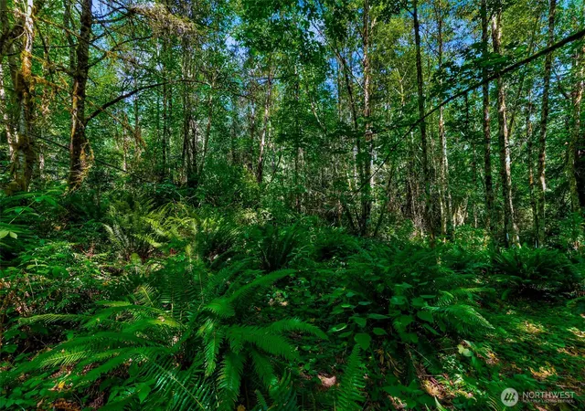 Photo 3 of Land for sale at 8679 NE Fox Den Ln, Bainbridge Island, WA 98110 | MLS# NWM2559865 | Listing updated on 2026-09-23