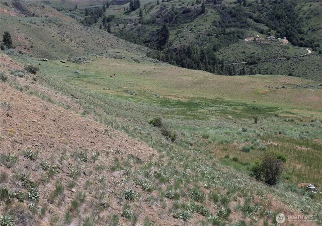 Photo 4 of Land for sale at 5 Combine Rd, Orondo, WA 98843 | MLS# NWM2559903 | Listing updated on 2026-09-23