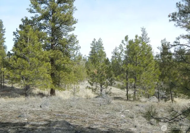 Photo 1 of Land for sale at 280 Reevas Basin Rd, Tonasket, WA 98855 | MLS# NWM2560045 | Listing updated on 2026-09-23