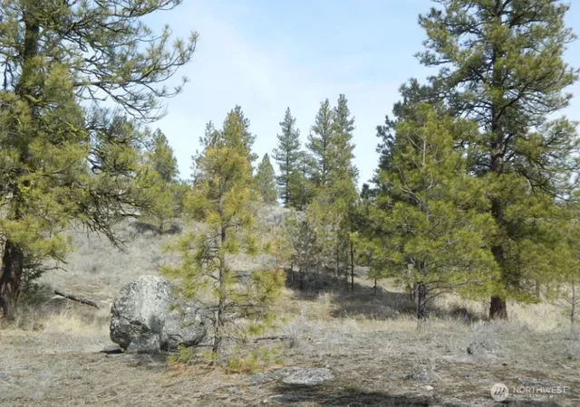 Photo 2 of Land for sale at 280 Reevas Basin Rd, Tonasket, WA 98855 | MLS# NWM2560045 | Listing updated on 2026-09-23