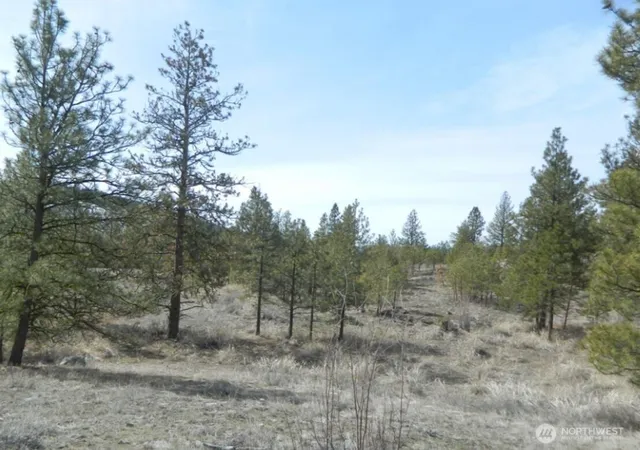 Photo 3 of Land for sale at 280 Reevas Basin Rd, Tonasket, WA 98855 | MLS# NWM2560045 | Listing updated on 2026-09-23