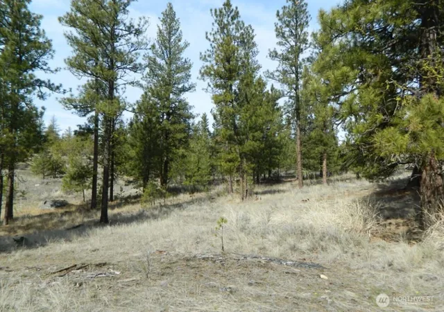 Photo 3 of Land for sale at 280 Reevas Basin Rd, Tonasket, WA 98855 | MLS# NWM2560045 | Listing updated on 2026-09-23