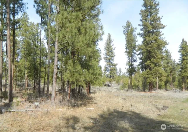 Photo 4 of Land for sale at 280 Reevas Basin Rd, Tonasket, WA 98855 | MLS# NWM2560045 | Listing updated on 2026-09-23