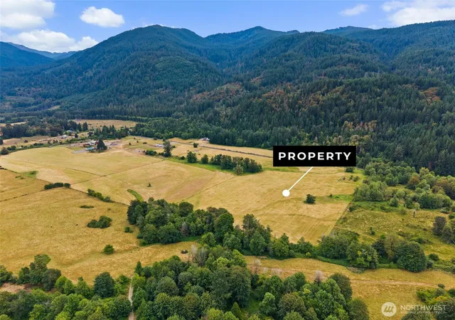 Photo 4 of Land for sale at 1179 Cline Rd, Randle, WA 98377 | MLS# NWM2560193 | Listing updated on 2026-09-23