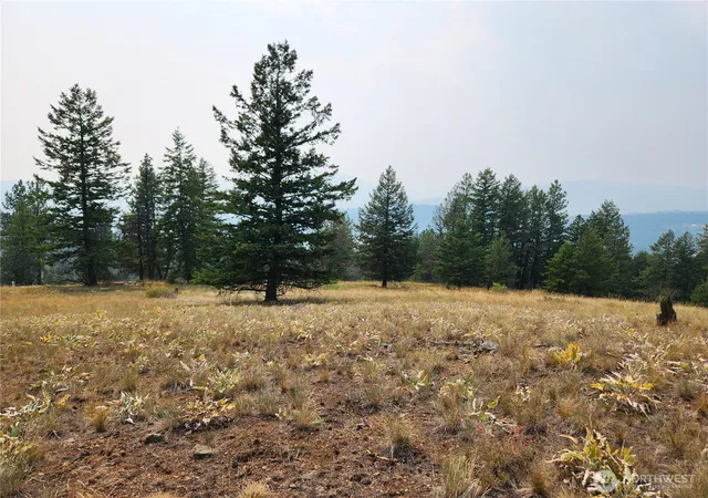 Photo 1 of Land for sale at 0 Tbd Rose Valley Rd, Republic, WA 99166 | MLS# NWM2560232 | Listing updated on 2026-09-25