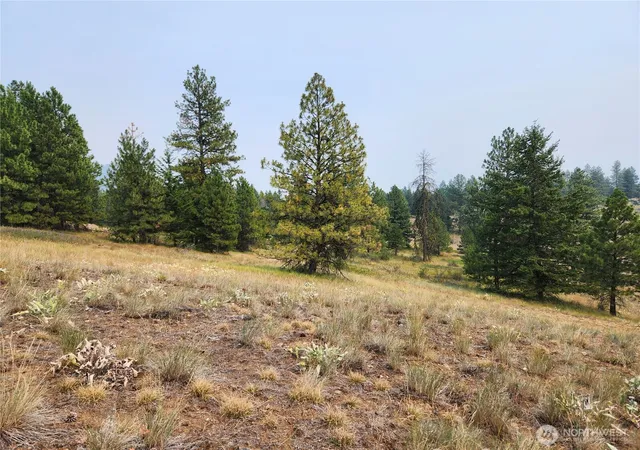 Photo 2 of Land for sale at 0 Tbd Rose Valley Rd, Republic, WA 99166 | MLS# NWM2560232 | Listing updated on 2026-09-25