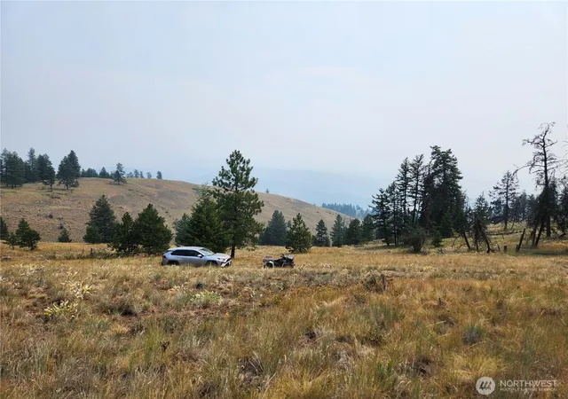 Photo 3 of Land for sale at 0 Tbd Rose Valley Rd, Republic, WA 99166 | MLS# NWM2560232 | Listing updated on 2026-09-25