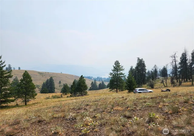Photo 3 of Land for sale at 0 Tbd Rose Valley Rd, Republic, WA 99166 | MLS# NWM2560232 | Listing updated on 2026-09-25