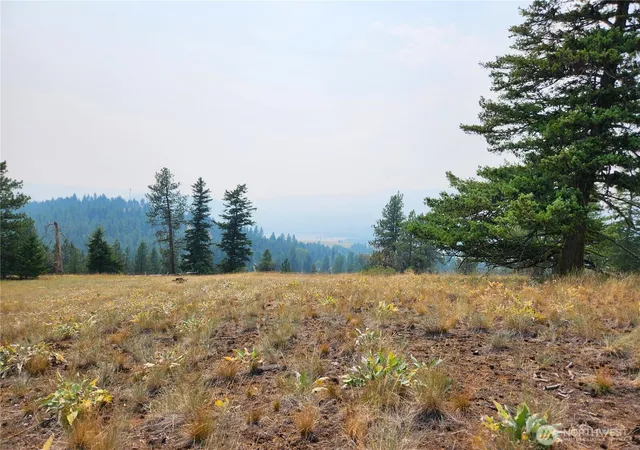 Photo 4 of Land for sale at 0 Tbd Rose Valley Rd, Republic, WA 99166 | MLS# NWM2560232 | Listing updated on 2026-09-25