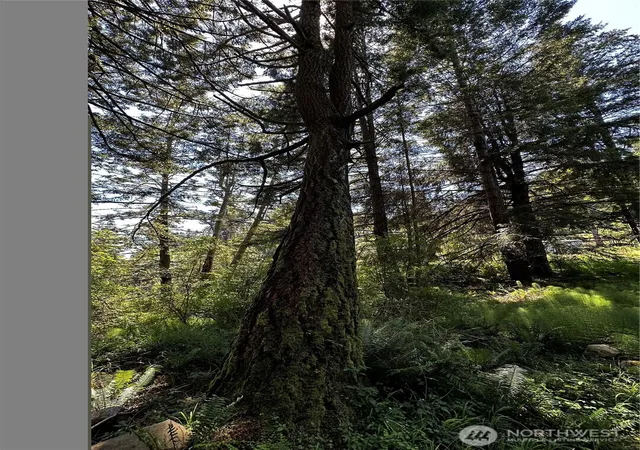 Photo 3 of Land for sale at 808 Roehl's Hl Rd, Eastsound, WA 98245 | MLS# NWM2560266 | Listing updated on 2026-09-23