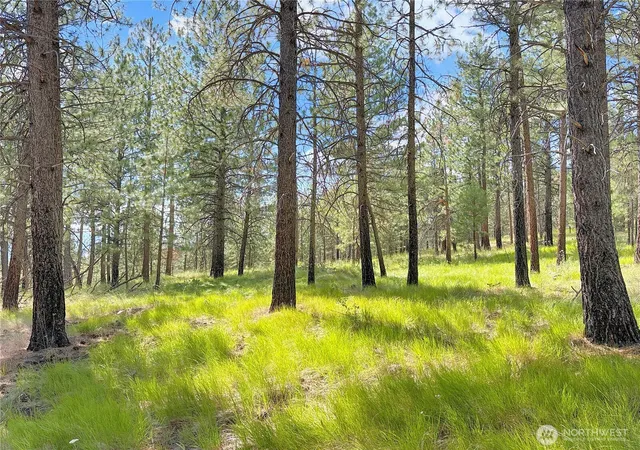 Photo 1 of Land for sale at 2 Tanner Short Plat, Riverside, WA 98849 | MLS# NWM2560283 | Listing updated on 2026-09-23