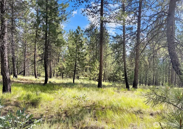 Photo 2 of Land for sale at 2 Tanner Short Plat, Riverside, WA 98849 | MLS# NWM2560283 | Listing updated on 2026-09-23
