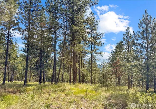 Photo 3 of Land for sale at 2 Tanner Short Plat, Riverside, WA 98849 | MLS# NWM2560283 | Listing updated on 2026-09-23