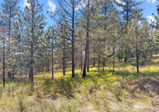 Photo 3 of Land for sale at 2 Tanner Short Plat, Riverside, WA 98849 | MLS# NWM2560283 | Listing updated on 2026-09-23