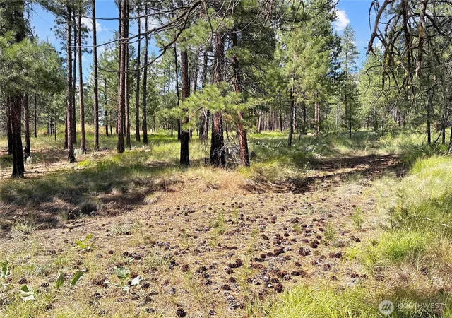 Photo 4 of Land for sale at 2 Tanner Short Plat, Riverside, WA 98849 | MLS# NWM2560283 | Listing updated on 2026-09-23