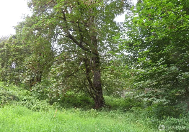 Photo 2 of Land for sale at 0 Xxx Del Ray Rd, Mossyrock, WA 98564 | MLS# NWM2560324 | Listing updated on 2026-09-23