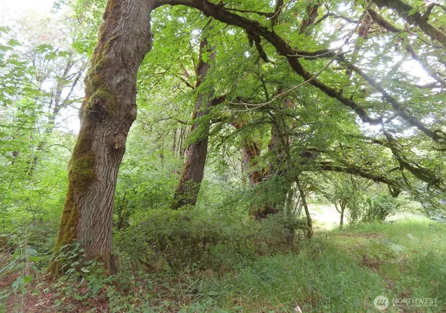 Photo 3 of Land for sale at 0 Xxx Del Ray Rd, Mossyrock, WA 98564 | MLS# NWM2560324 | Listing updated on 2026-09-23