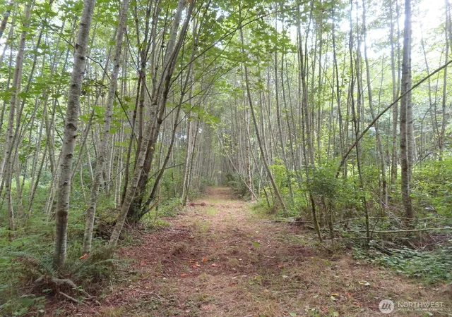 Photo 4 of Land for sale at 0 Xxx Del Ray Rd, Mossyrock, WA 98564 | MLS# NWM2560324 | Listing updated on 2026-09-23