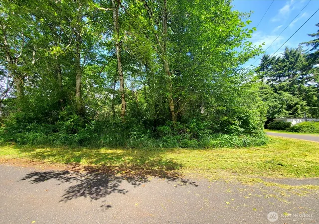Photo 3 of Land for sale at 0 Woodland Ln, Copalis Beach, WA 98535 | MLS# NWM2560348 | Listing updated on 2026-09-23