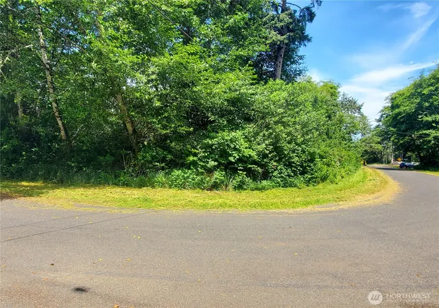 Photo 3 of Land for sale at 0 Woodland Ln, Copalis Beach, WA 98535 | MLS# NWM2560348 | Listing updated on 2026-09-23