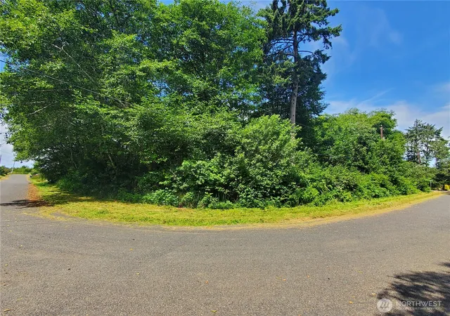 Photo 4 of Land for sale at 0 Woodland Ln, Copalis Beach, WA 98535 | MLS# NWM2560348 | Listing updated on 2026-09-23