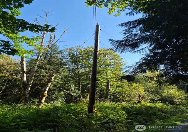 Photo 4 of Land for sale at 36333 324th Street NE, Arlington, WA 98223 | MLS# NWM2560401 | Listing updated on 2026-09-23