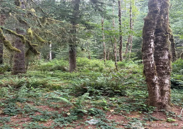 Photo 1 of Land for sale at 99 Highway 101, Amanda Park, WA 98526 | MLS# NWM2560436 | Listing updated on 2026-09-23