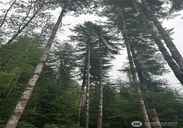 Photo 3 of Land for sale at 99 Highway 101, Amanda Park, WA 98526 | MLS# NWM2560436 | Listing updated on 2026-09-23