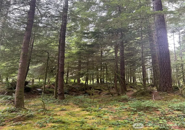 Photo 4 of Land for sale at 99 Highway 101, Amanda Park, WA 98526 | MLS# NWM2560436 | Listing updated on 2026-09-23