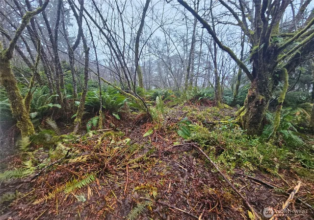 Photo 1 of Land for sale at 0 Larkin Rd, Grayland, WA 98547 | MLS# NWM2560516 | Listing updated on 2026-09-23