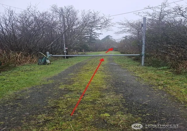 Photo 2 of Land for sale at 0 Larkin Rd, Grayland, WA 98547 | MLS# NWM2560516 | Listing updated on 2026-09-23