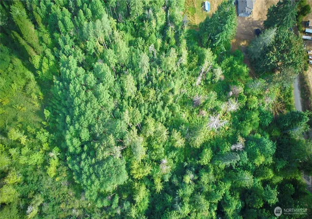 Photo 4 of Land for sale at 3912 183rd Avenue Ct SW, Longbranch, WA 98351 | MLS# NWM2560535 | Listing updated on 2026-09-26