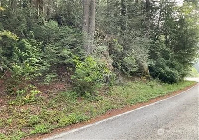 Photo 2 of Land for sale at 87426 Ne Old Cascade Hwy, Skykomish, WA 98288 | MLS# NWM2560959 | Listing updated on 2026-09-23