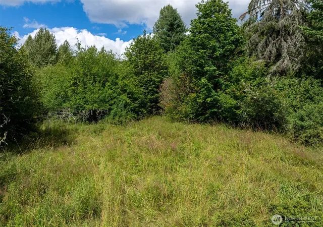 Photo 2 of Land for sale at 28909 State Route 706, Ashford, WA 98304 | MLS# NWM2561061 | Listing updated on 2026-09-25