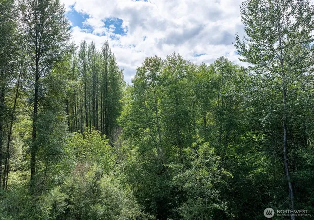 Photo 3 of Land for sale at 28909 State Route 706, Ashford, WA 98304 | MLS# NWM2561061 | Listing updated on 2026-09-25