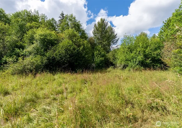Photo 4 of Land for sale at 28909 State Route 706, Ashford, WA 98304 | MLS# NWM2561061 | Listing updated on 2026-09-25